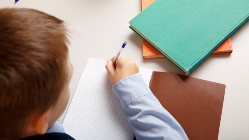 Poszukiwany lider edukacji w Rogowie Sobóckim!