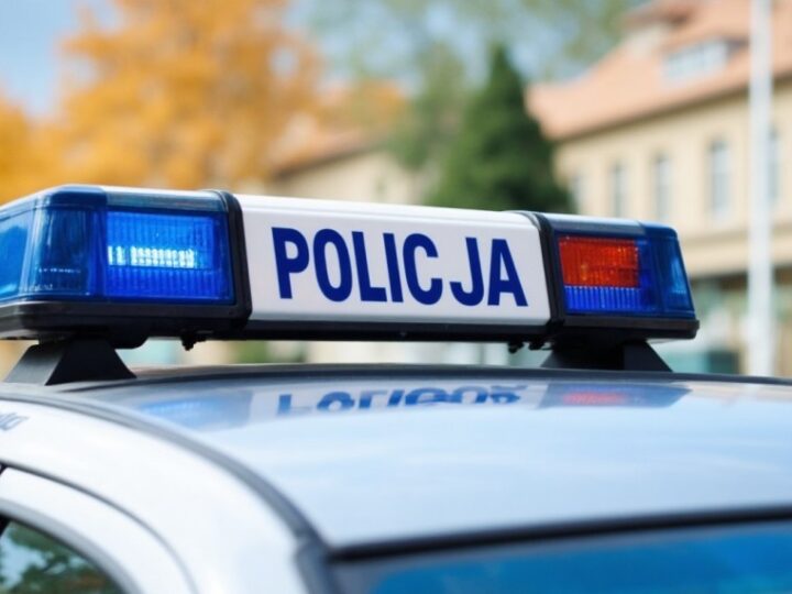 Policja z Trzebnicy w akcji: Ratunek dla rannego koźlęcia sarny!