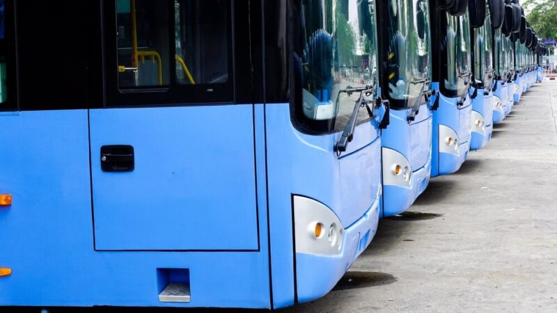 Nowa linia 920: Weekendowe połączenia z Czernicy do Wrocławia startują 4 lipca!