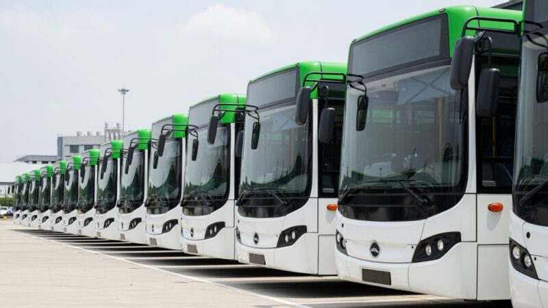 Nowe linie autobusowe na Ladies Day: Wrocław ułatwia dojazd na Partynice!