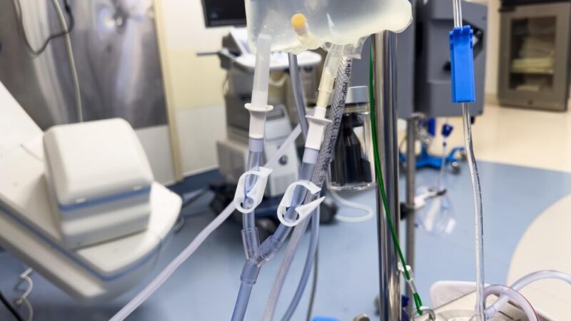 Miejska Farma Wrocław: Świeże Warzywa dla Dzieci z Przedszkoli i Żłobków