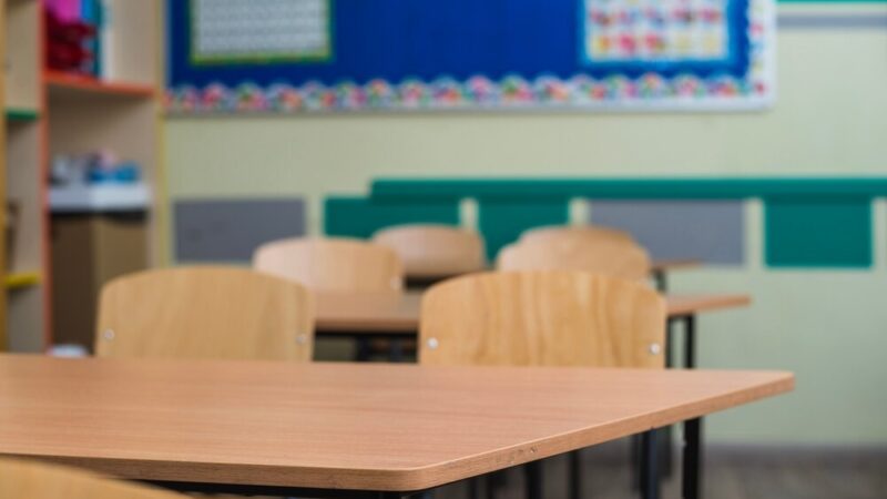 Leśna szkoła w Sobótce – nowoczesne podejście do edukacji dzieci