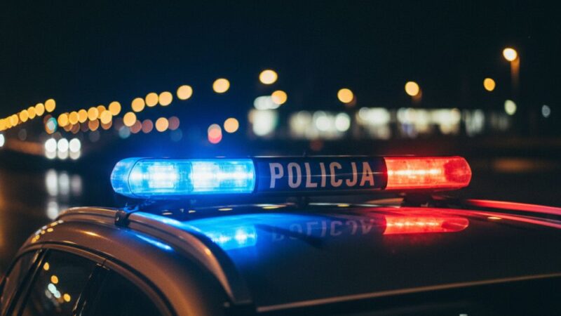 Polska i Niemcy w jedności przeciwko kradzieżom samochodów
