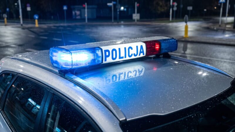 Zatrzymani złodzieje aut: wspólna akcja policji i straży granicznej
