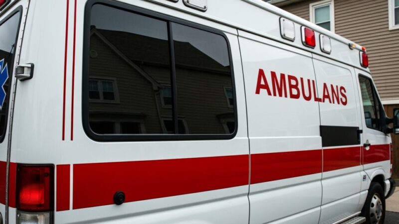 Grzybobranie, które przerodziło się w dramatyczną walkę o życie