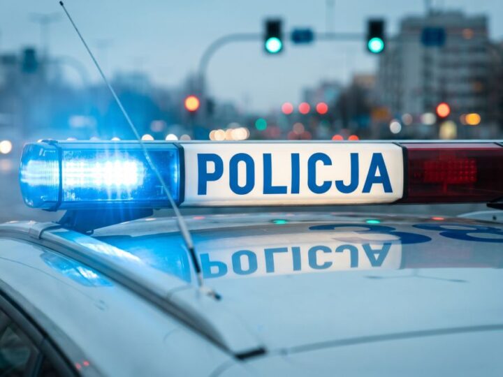 Zatrzymany w Niemczech: Oszust z wyrokiem w rękach polskiej policji