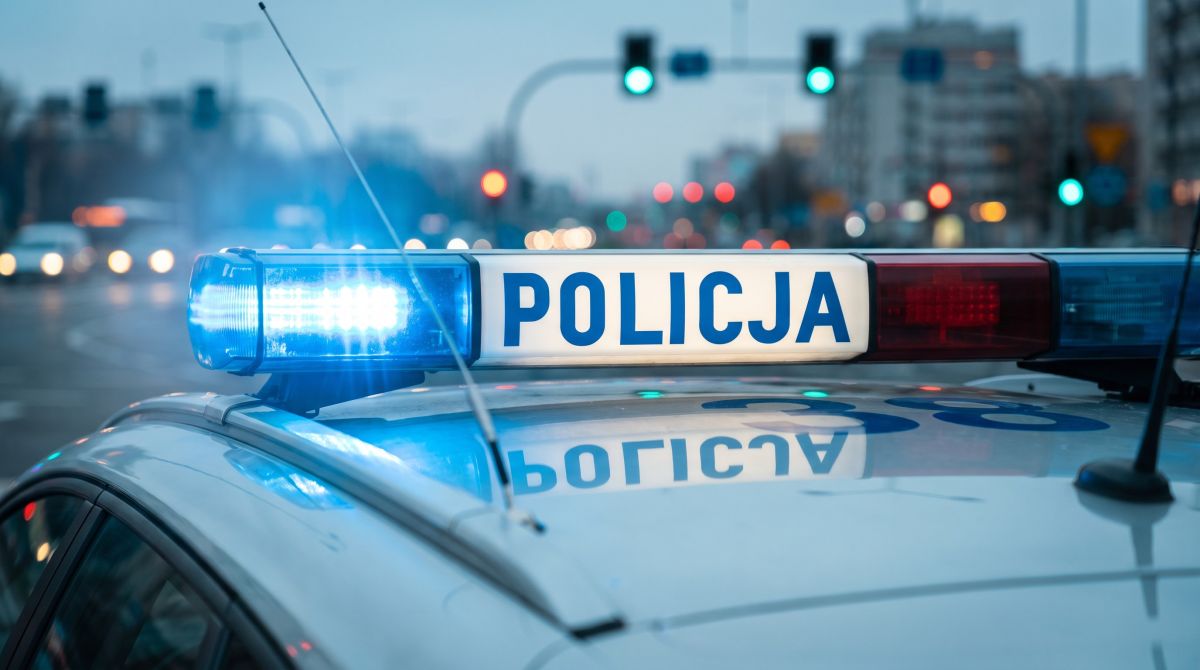 Zatrzymany w Niemczech: Oszust z wyrokiem w rękach polskiej policji