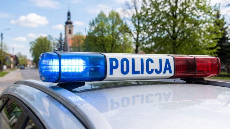 Wałbrzych w szponach przestępczości: Policja rozbija siatkę narkotykową