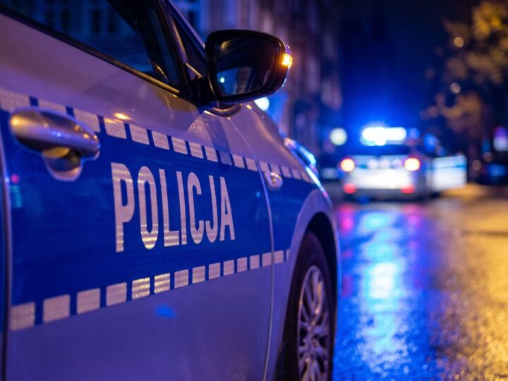 Szybkie aresztowania po włamaniu do altanki – policja w akcji!